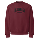 Bluegrass Elite Oversized Heavyweight Sweatshirt | Embroidered Collegiate Logo - Bluegrass Elite Apparel LLC