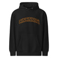 Cincinnati Arch Text Premium Mid - Weight Hoodie | Everyday Street Comfort - Bluegrass Elite Apparel LLC
