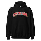Cincinnati Hoodie | Arched Word Art Design - Bluegrass Elite Apparel LLC
