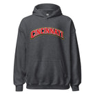 Cincinnati Hoodie | Arched Word Art Design - Bluegrass Elite Apparel LLC