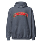 Cincinnati Hoodie | Arched Word Art Design - Bluegrass Elite Apparel LLC
