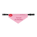 just get the Blanket Pet bandana collar - Bluegrass Elite Apparel LLC