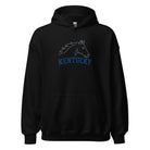 Kentucky Heritage Hoodie - Bluegrass Elite Apparel LLC