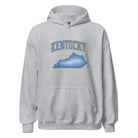 Kentucky State Hoodie | Denim Textured Design | Unisex Cotton Blend - Bluegrass Elite Apparel LLC