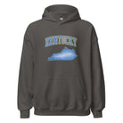 Kentucky State Hoodie | Denim Textured Design | Unisex Cotton Blend - Bluegrass Elite Apparel LLC