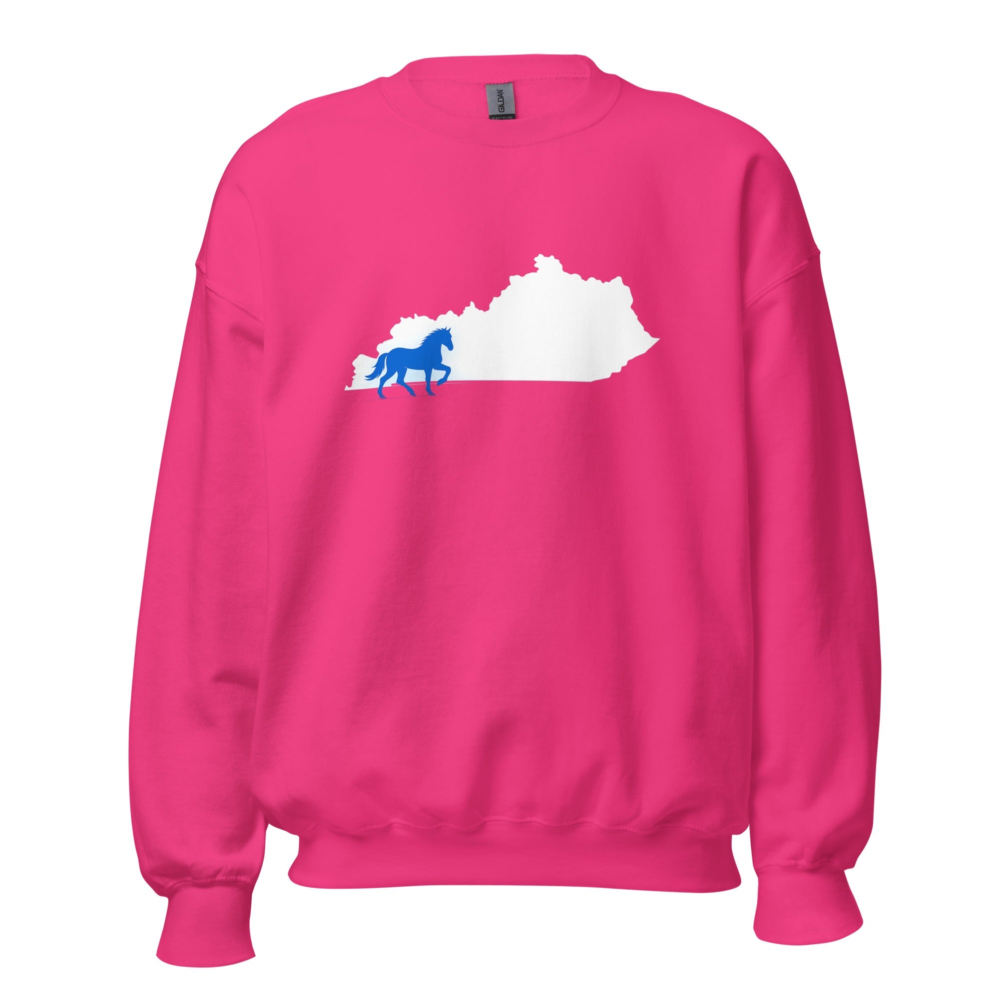 Kentucky Sweatshirt | Blue Horse State Silhouette | Unisex Classic Fit - Bluegrass Elite Apparel LLC