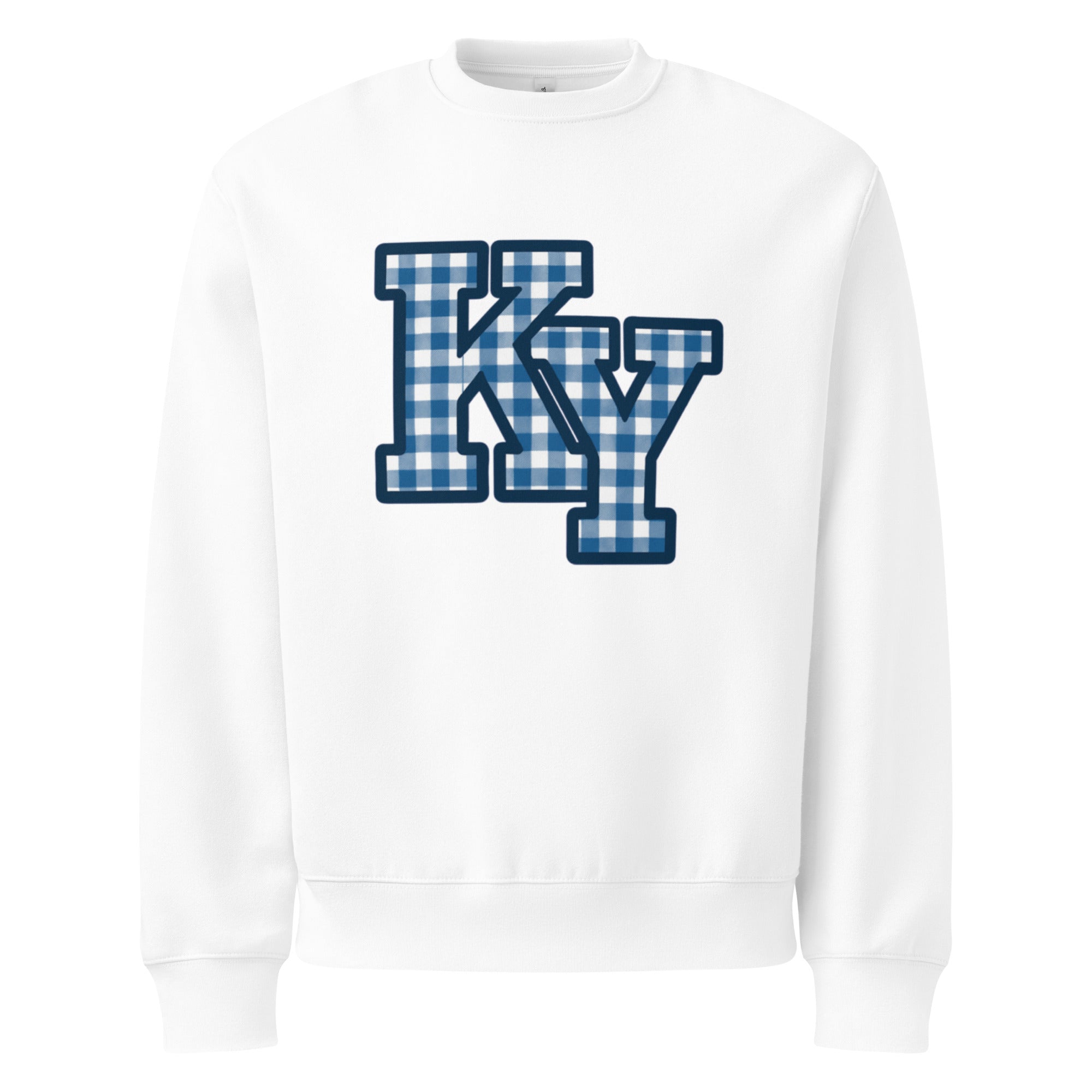 Oversized heavyweight sweatshirt - Bluegrass Elite Apparel LLC