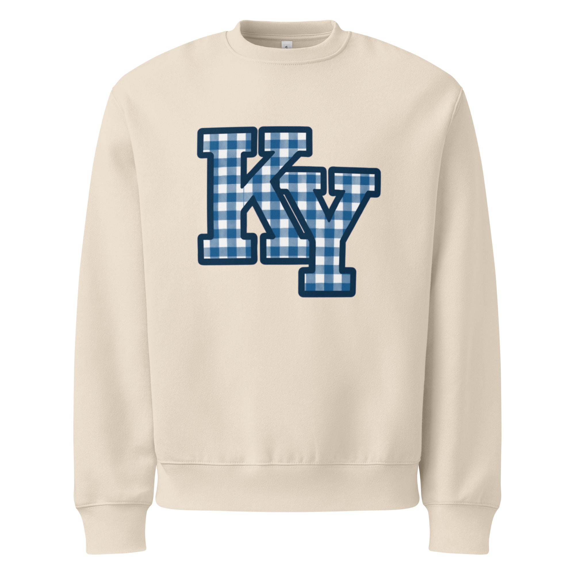Oversized heavyweight sweatshirt - Bluegrass Elite Apparel LLC