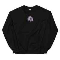 Patriotic Heritage Feather Sweatshirt
