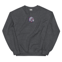 Patriotic Heritage Feather Sweatshirt