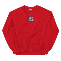Patriotic Heritage Feather Sweatshirt
